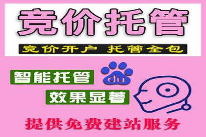 专业SEM托管，案例分享助力企业实现低成本广告